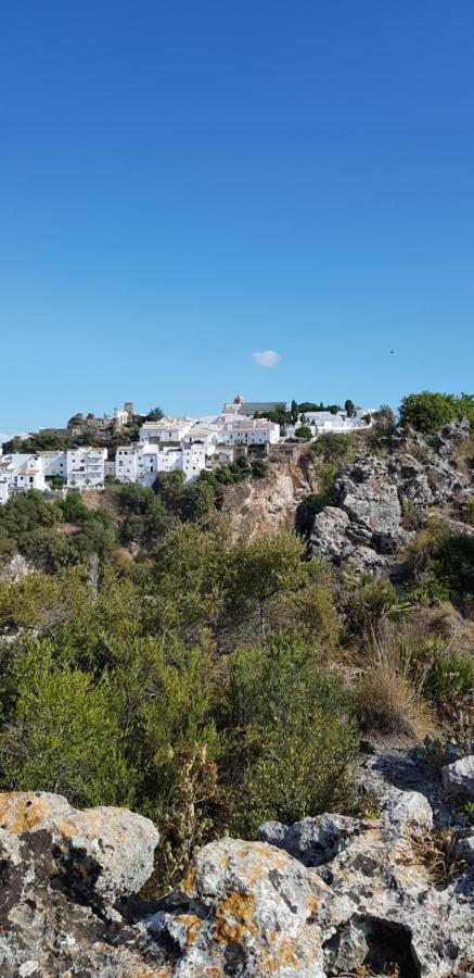 Puerto Estepona Ngoại thất bức ảnh